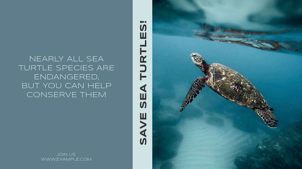 Save sea turtles blog banner template, editable text & design