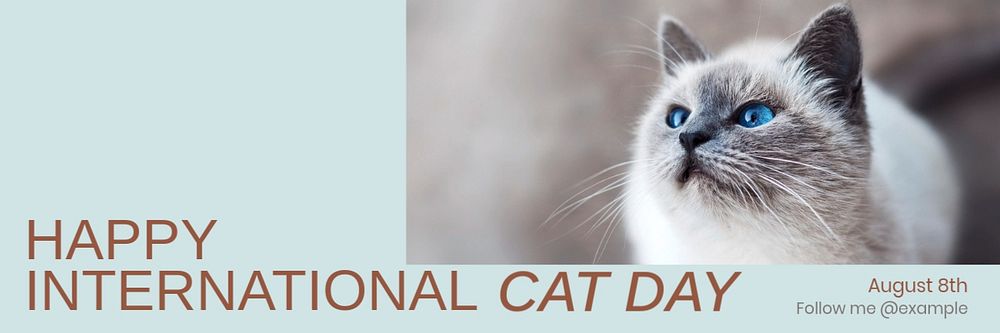 International cat day email header template, editable design