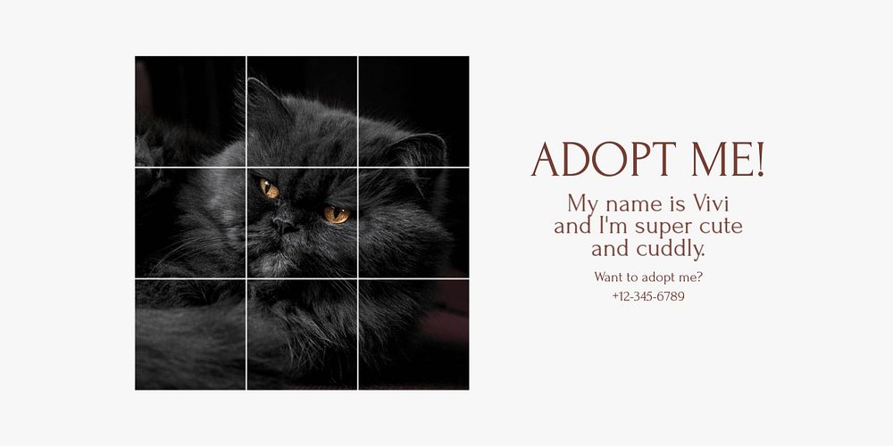 Pet adoption Twitter ad template, editable text & design