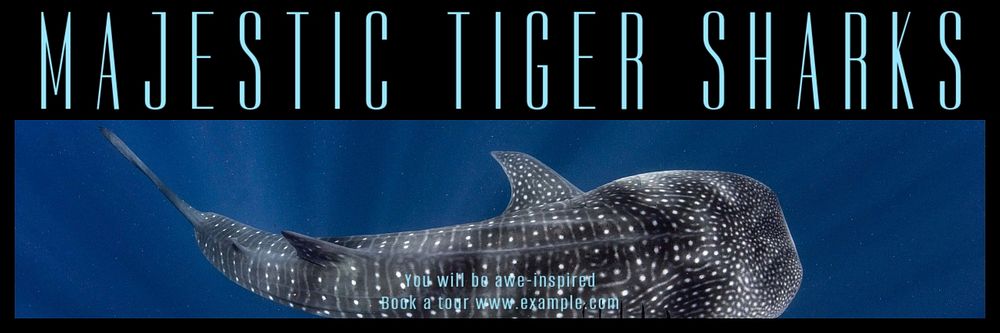 Tiger sharks email header template, editable design