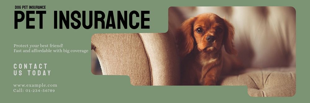 Pet insurance email header template, editable design