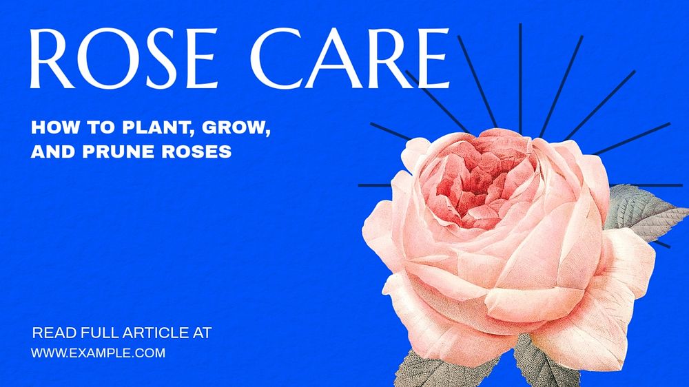 Rose care  blog banner template, editable text