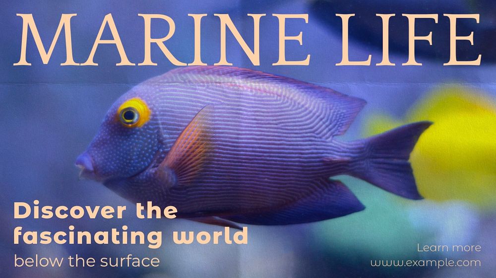 Marine life blog banner template, editable text