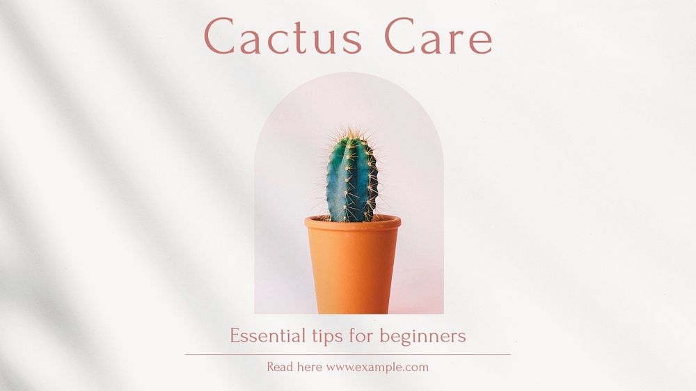 Cactus care  blog banner template, editable text