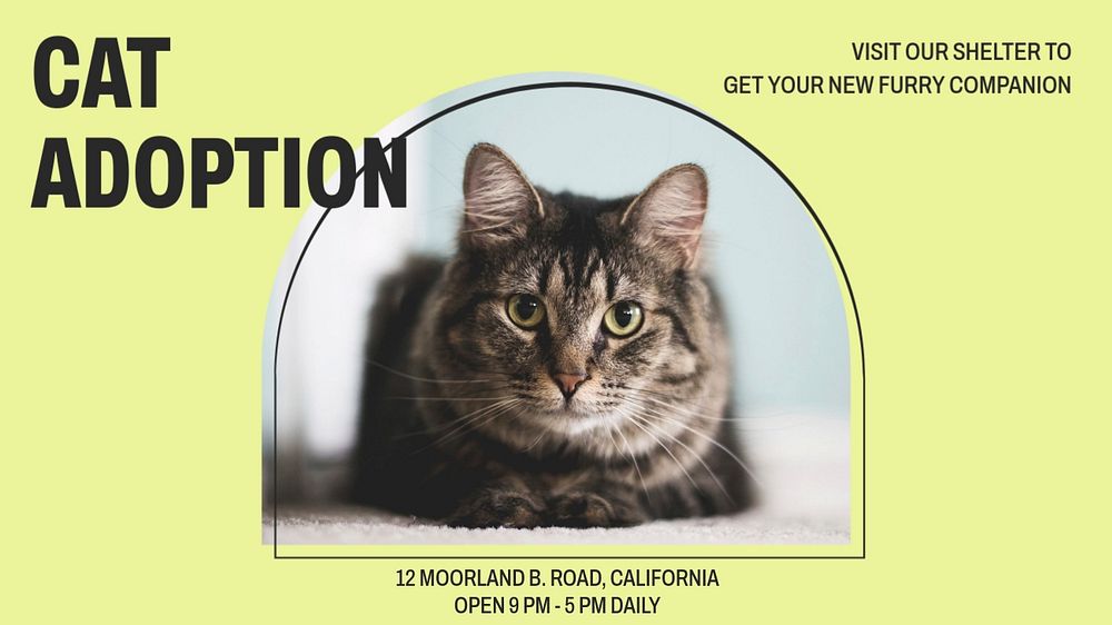 Cat adoption blog banner template, editable text