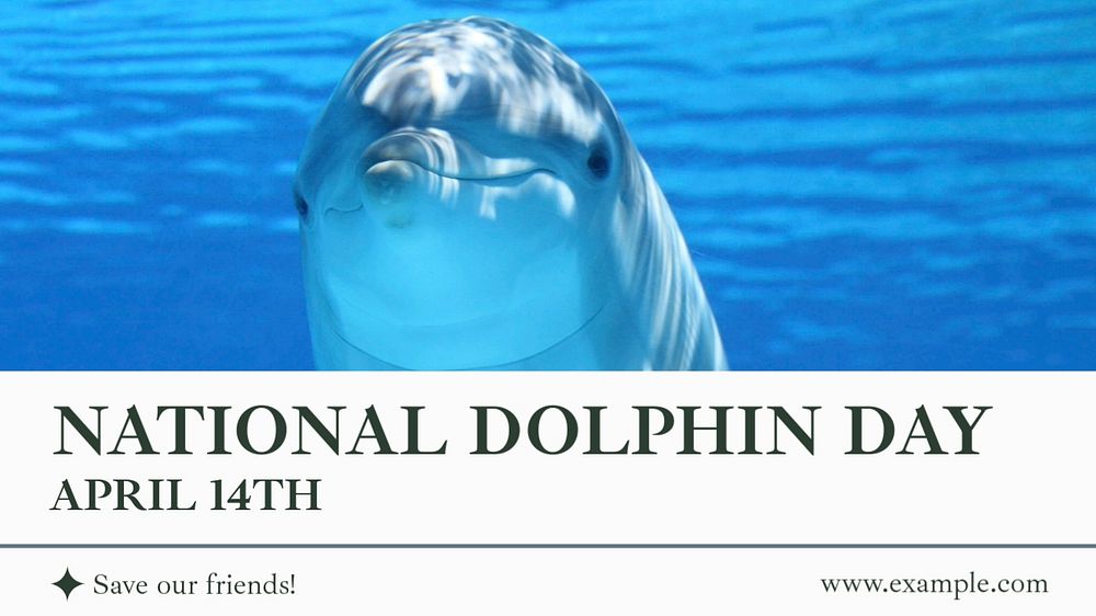 National dolphin day  blog banner template, editable text