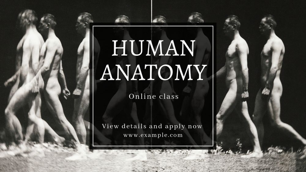 Human anatomy  blog banner template, editable text