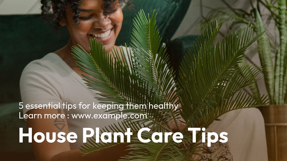 House plant care blog banner template, editable text