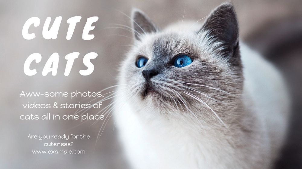 Cute cats blog banner template, editable text