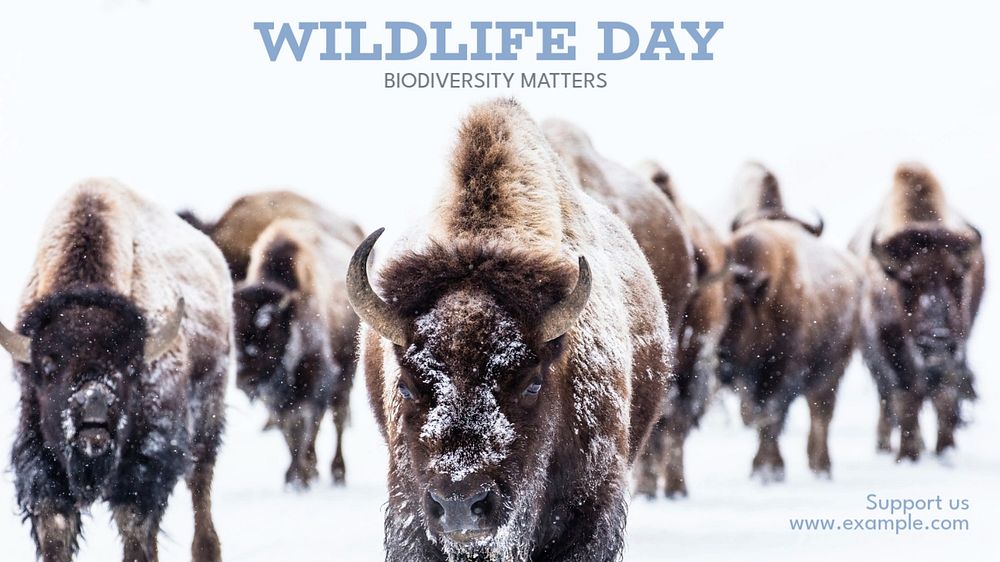 Wildlife day  blog banner template, editable text