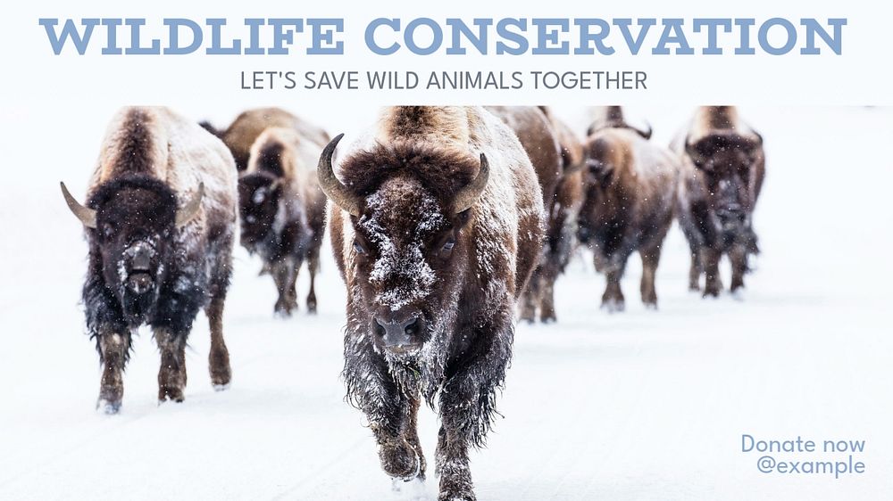 Wildlife conservation  blog banner template, editable text