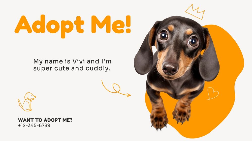 Pet adoption blog banner template