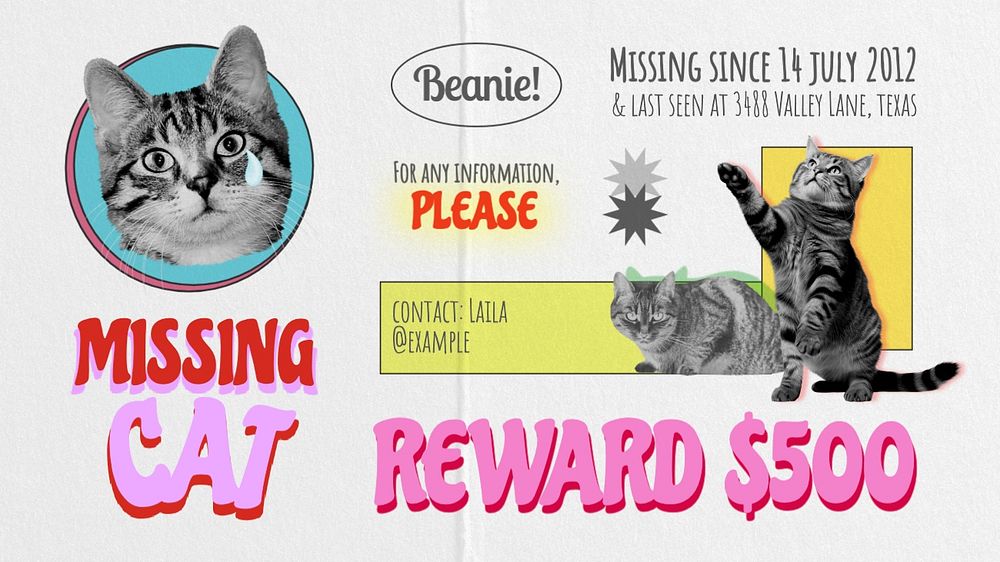 Missing cat  blog banner template