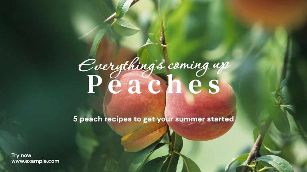 Peach recipes blog banner template