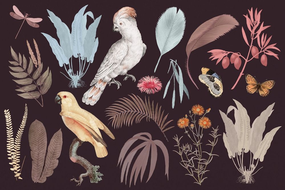 Exotic birds vintage sticker set, editable design