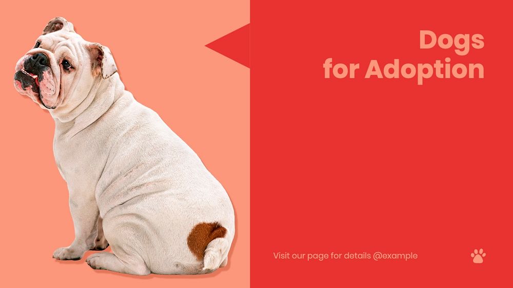 Dog adoption blog banner template