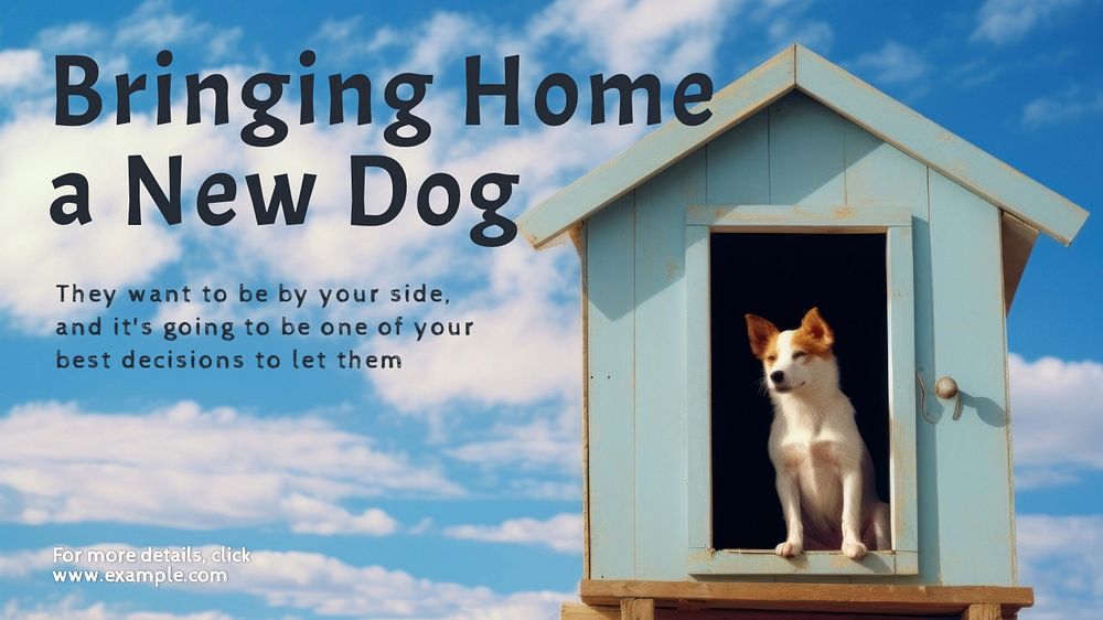 Pet shelter blog banner template