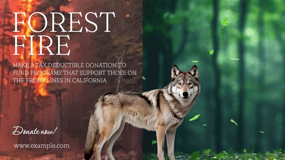 Forest fire blog banner template