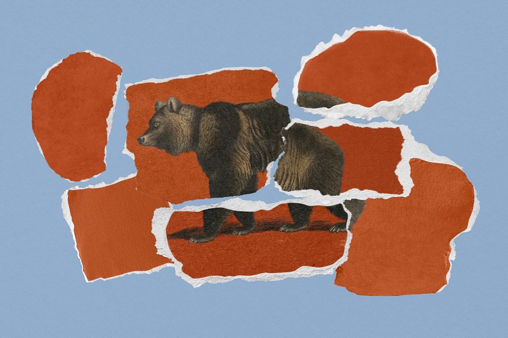 Paper collage mockup, bear design 