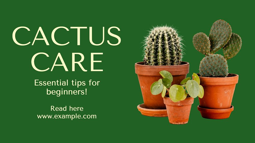 Cactus care blog banner template