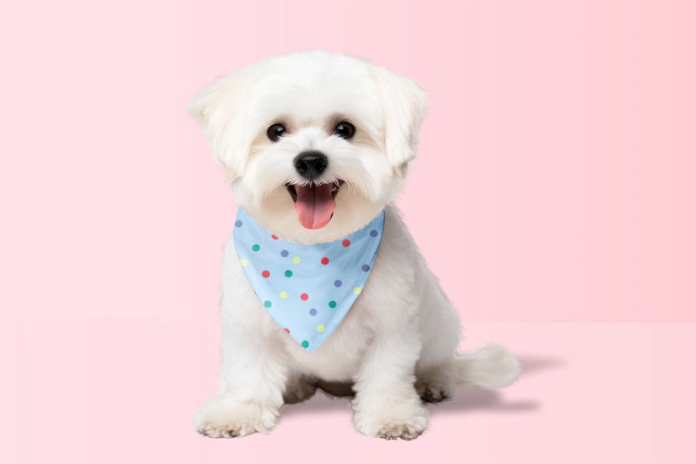 Editable dog's bandana mockup pet design