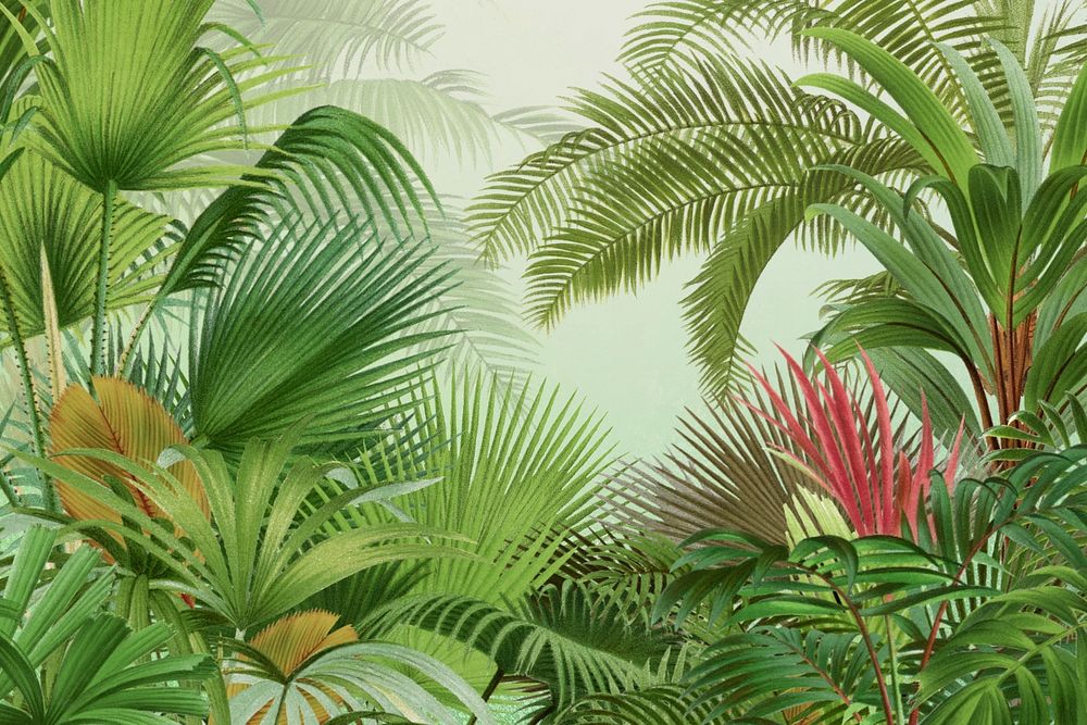 Jungle border background. Remixed by rawpixel.