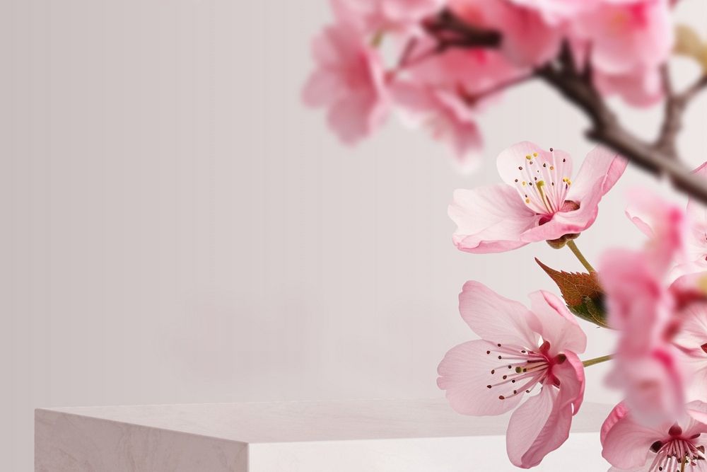 Japanese Cherry blossom product backdrop