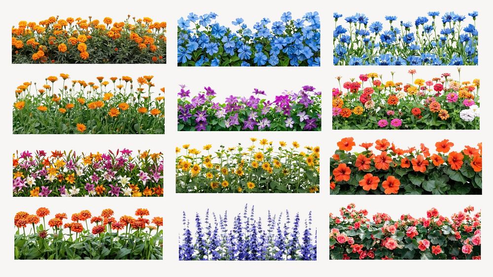 Summer flower border set, editable | Premium Editable Design - rawpixel