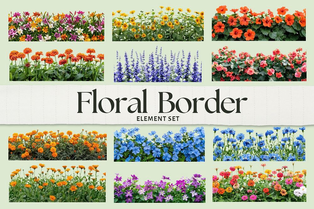 Summer flower border set, editable | Premium Editable Design - rawpixel