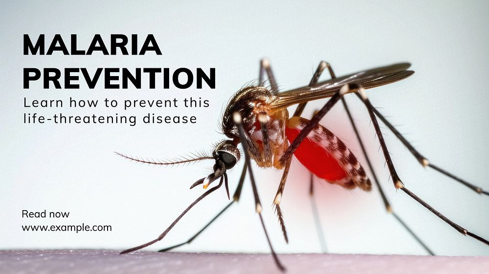 Malaria prevention blog banner template