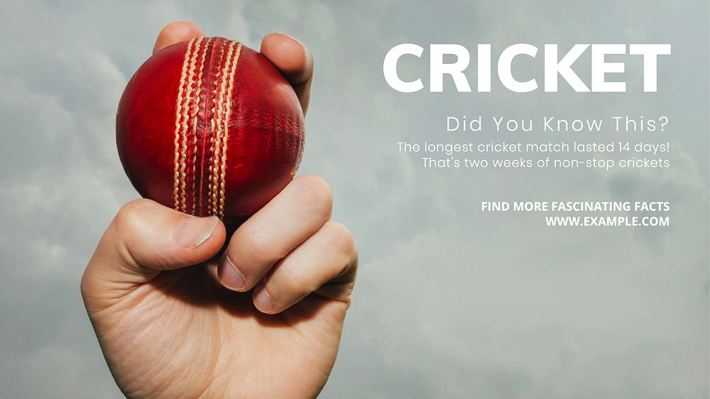 Cricket facts blog banner template