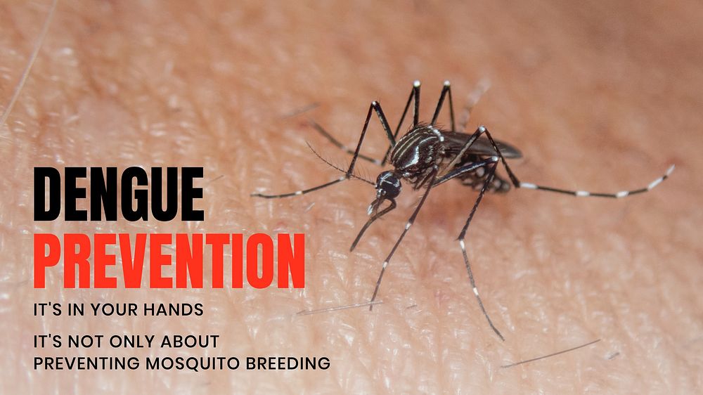 Mosquito dengue prevention blog banner template