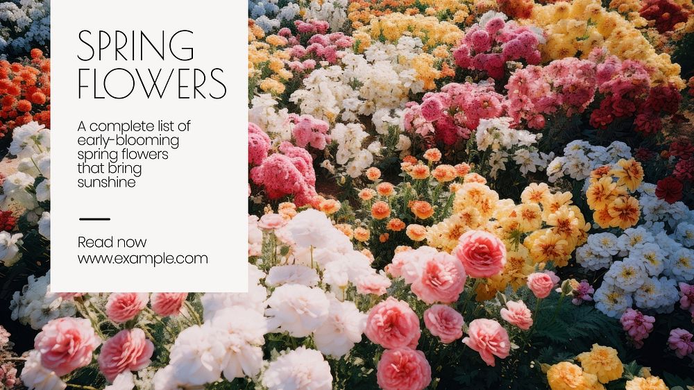 Spring flowers  blog banner template