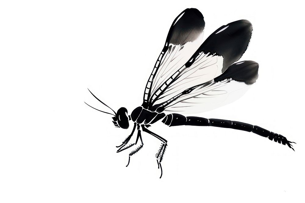 Dragonfly Japanese minimal invertebrate anisoptera appliance.