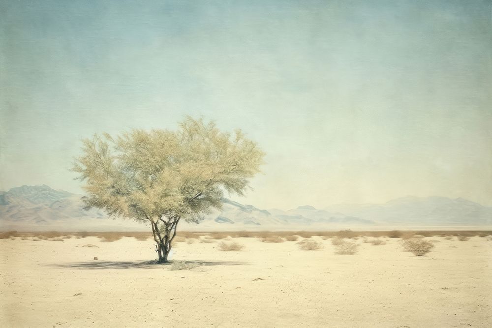 Desert Bush painting ground landscape.