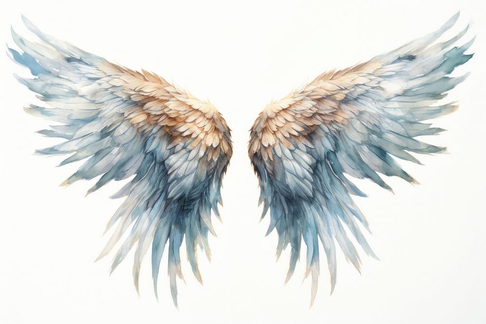 Illustration of angle wing art archangel animal.