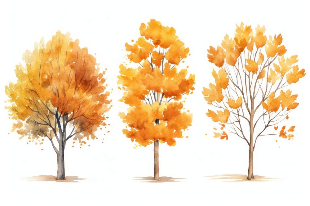 Illustration of autumn trees art painting outdoors.