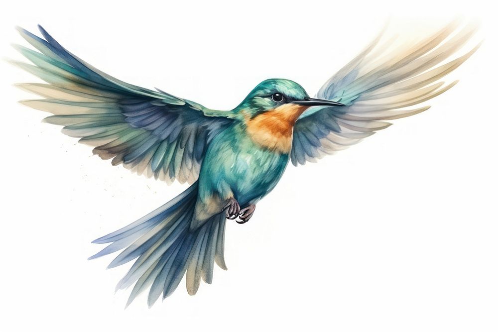 Illustration of own bird flying animal bee eater.