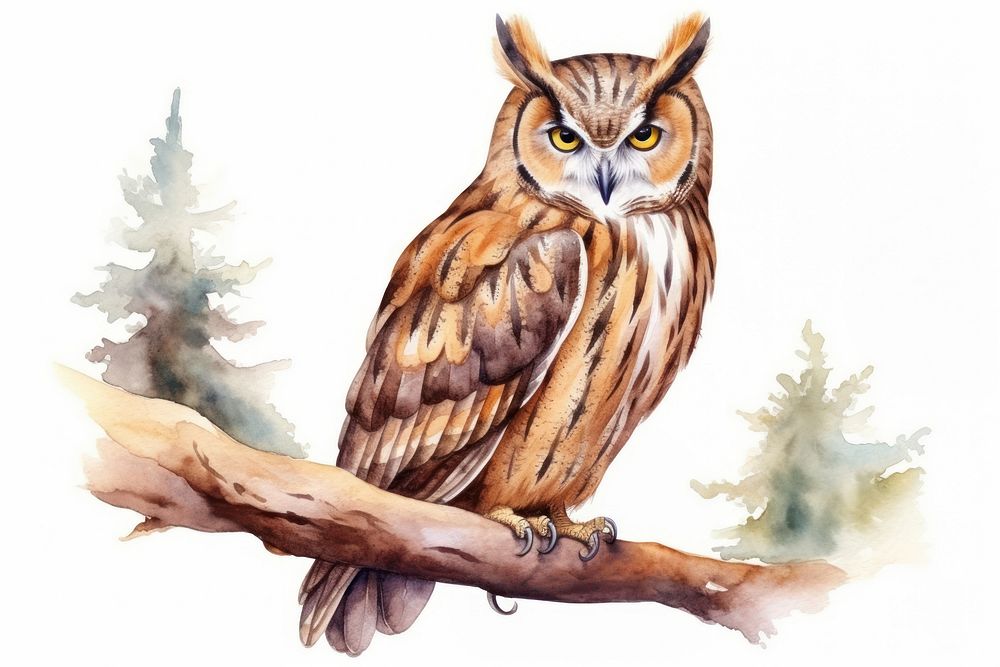 Illustration of owl bird animal person human.