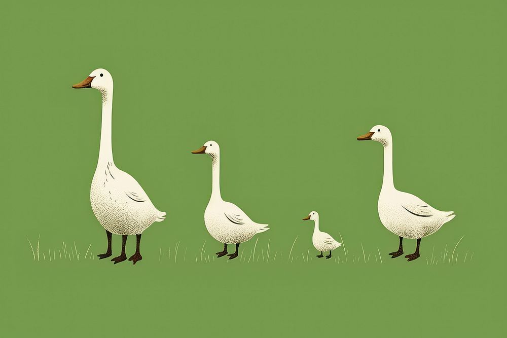 Hand drawn illustration of geese anseriformes waterfowl animal.
