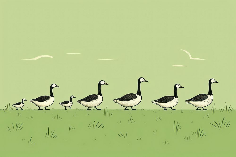 Hand drawn illustration of geese anseriformes waterfowl animal.