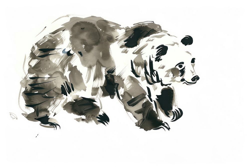 Bear Japanese minimal art illustrated wildlife.