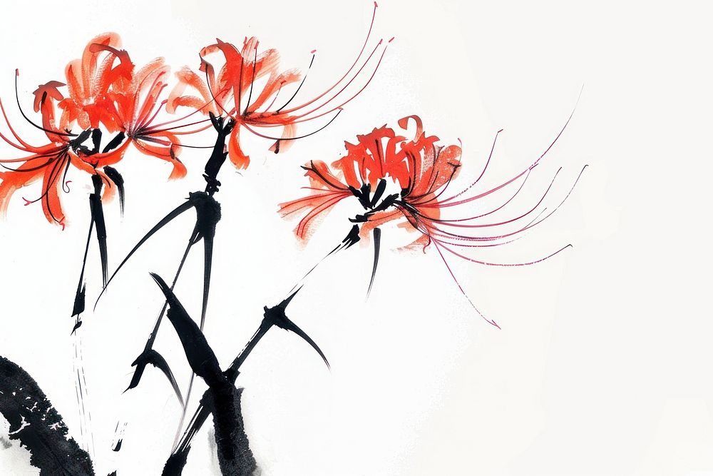 Red Spider Lily Japanese minimal art invertebrate amaryllis.