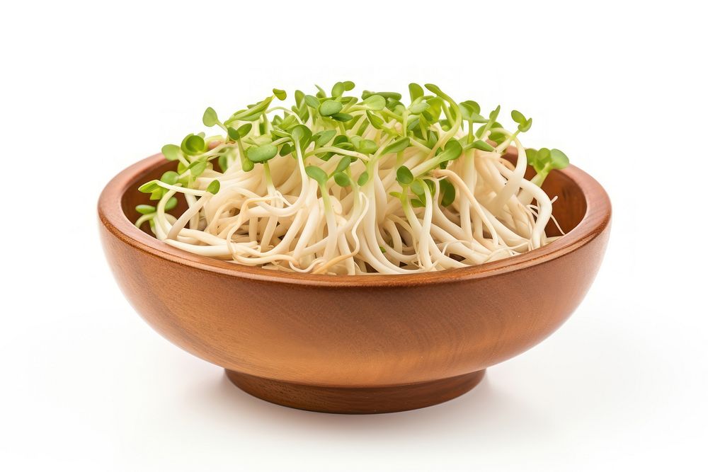 Bean sprout in a wooden bowl spaghetti vegetable produce.
