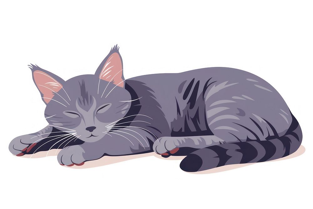 Sleeping cat illustrated drawing animal.