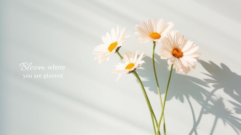 Bloom where you are planted quote blog banner template