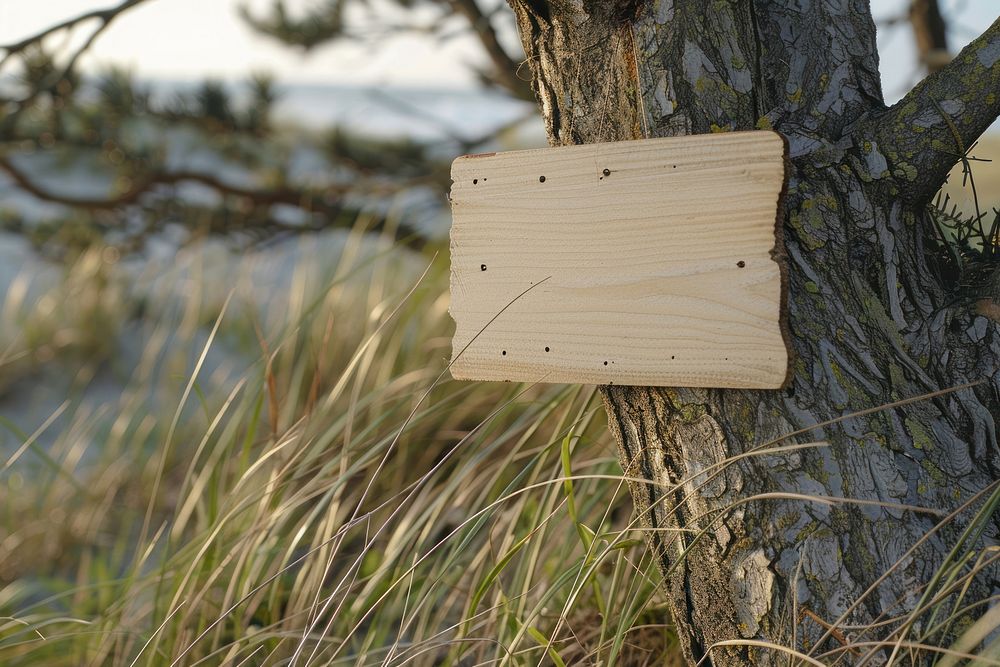 Wood signs mockup outdoors tree vegetation.