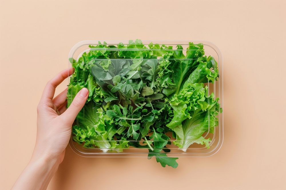 Lunchbox packaging vegetable food produce.
