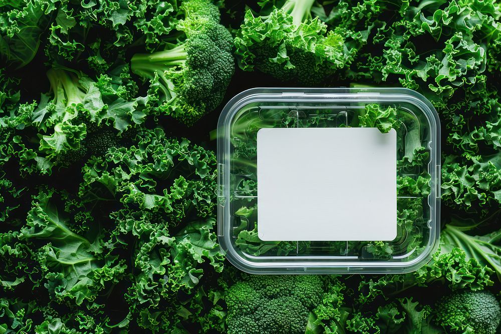 Lunchbox packaging vegetable food vegetation.