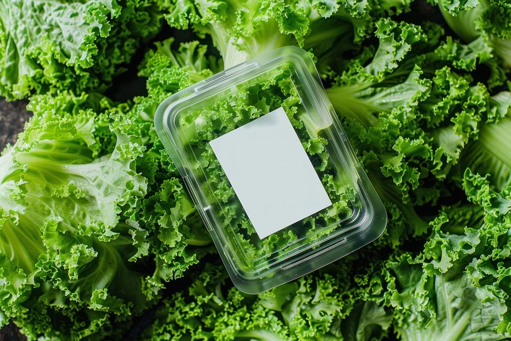 Lunchbox packaging vegetable food cosmetics.